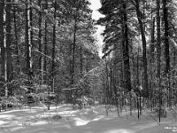 65752PeCrBwLeUsmRe - A lovely afternoon ski with Beth and Andy at Durham Forest.JPG